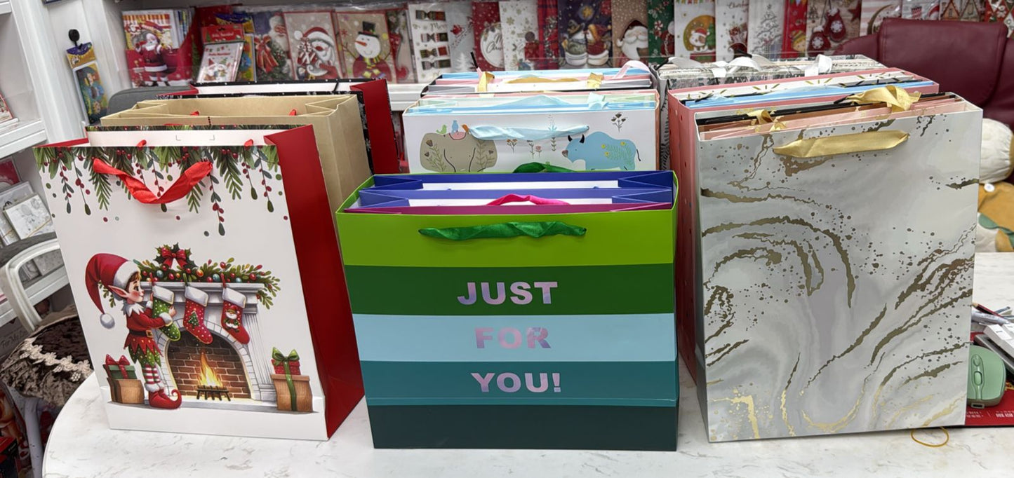 Assorted Premium Gift Bags 6 Pcs  – Festive & Everyday Designs