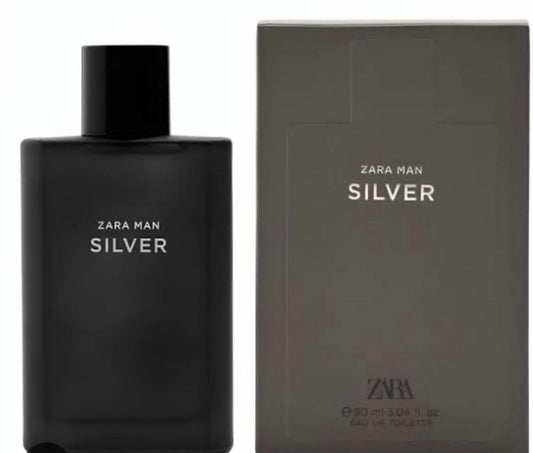 Zara man silver