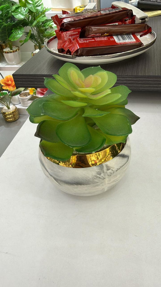 2-piece artificial succulent set