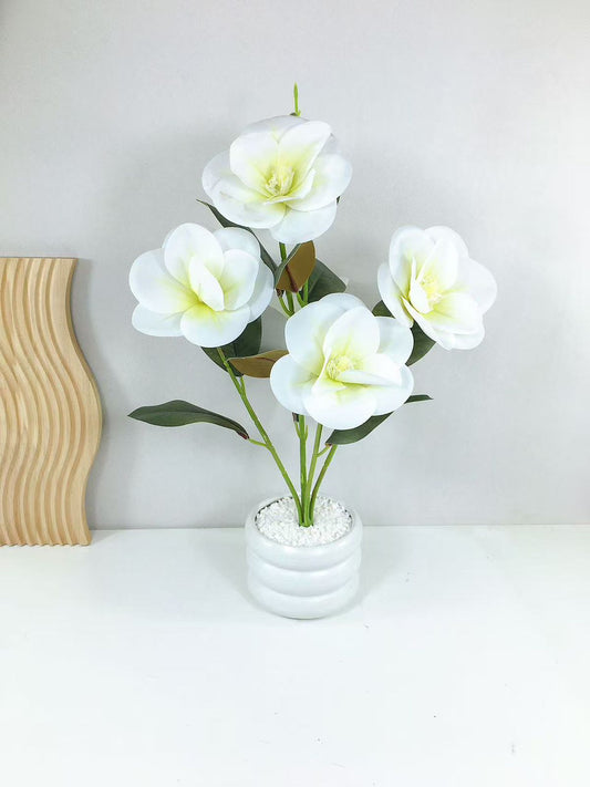 Cute decor pieces for house