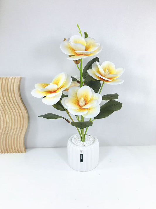 Cute decor pieces for house