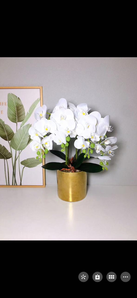 Cute decor pieces for house