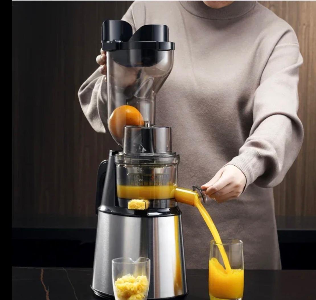 Silver love slow juicer