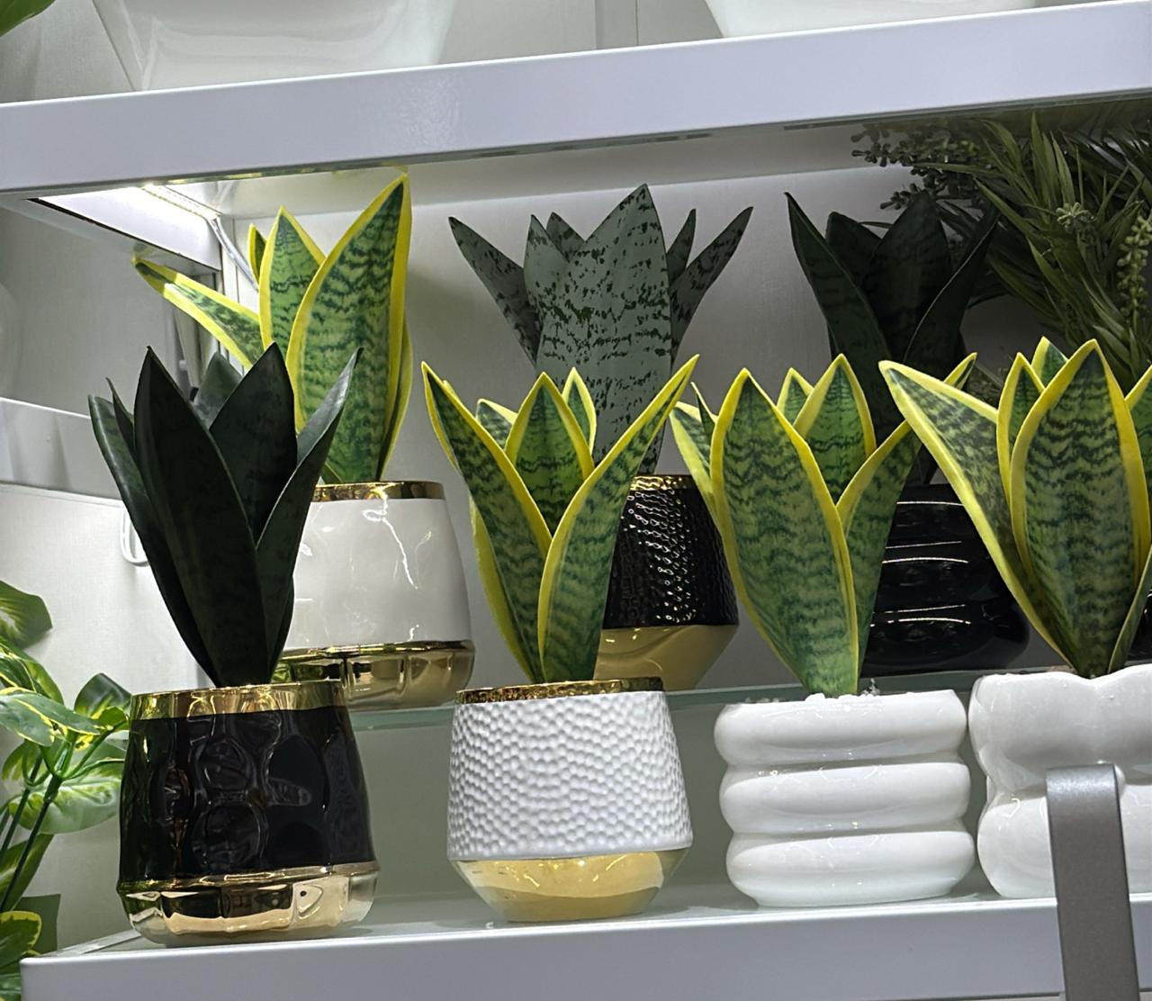 2pcs Artificial Snake Plant Duo – Decorative Potted Set with Premium Finishes